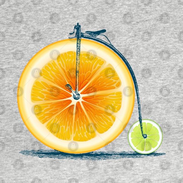 Vintage Orange Lime Bike with Retro Cycle Frame Look and Orange and Green Citrus Wheels, where you sit on Top of Orange by Olloway
